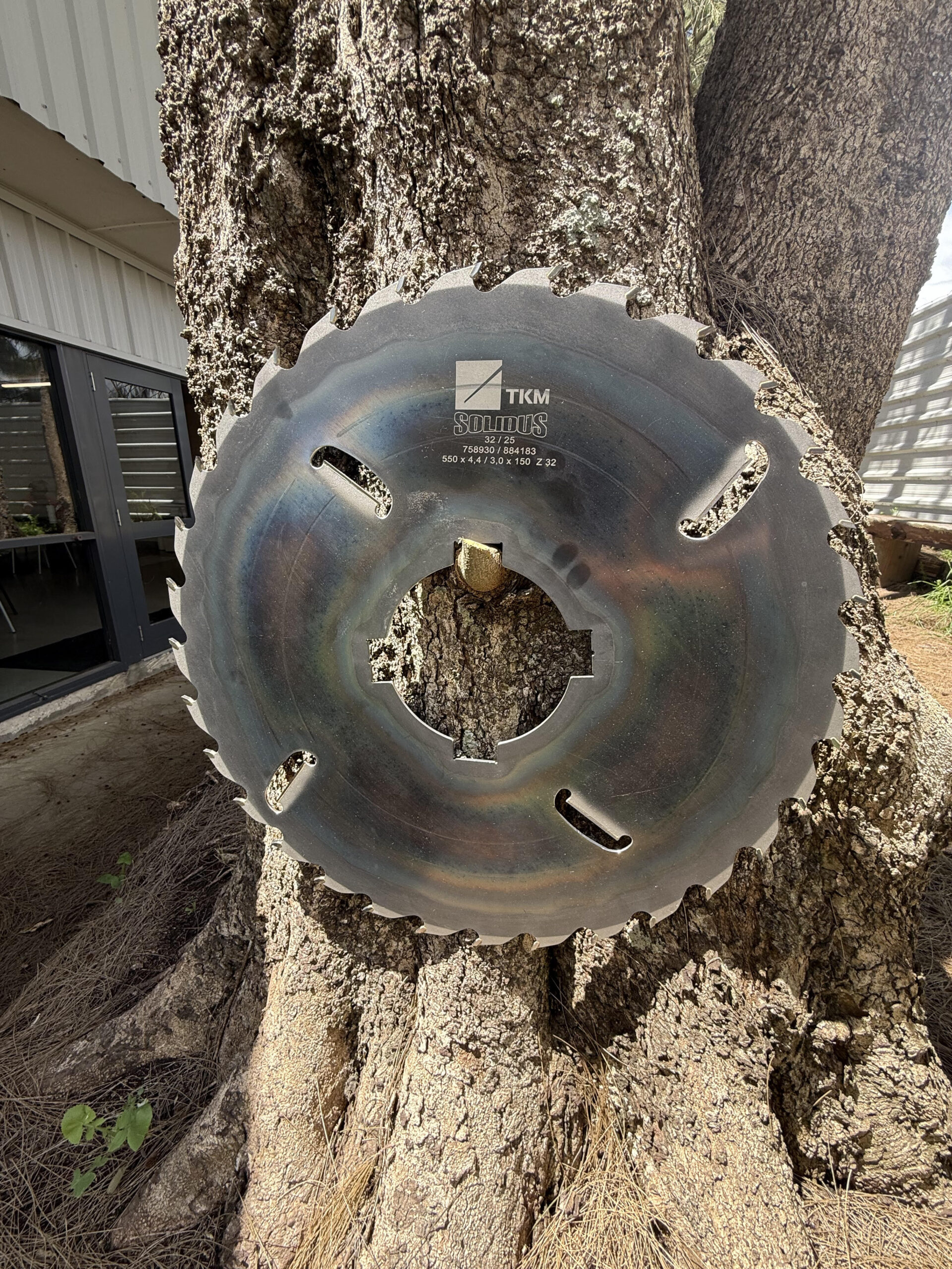 Custom Circular Saws