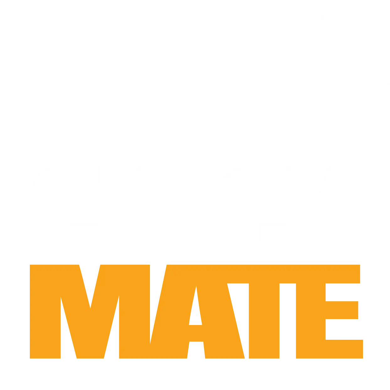 Checkmate